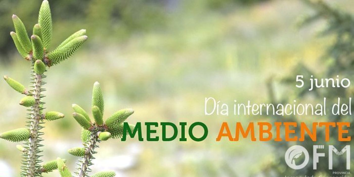 Dia Mundial del Medio Ambiente